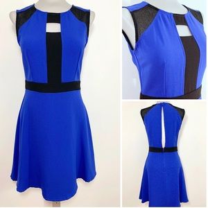 Cobalt Blue Dress